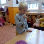 phoca_thumb_m_zajci a vtr 49 Fotogalerie